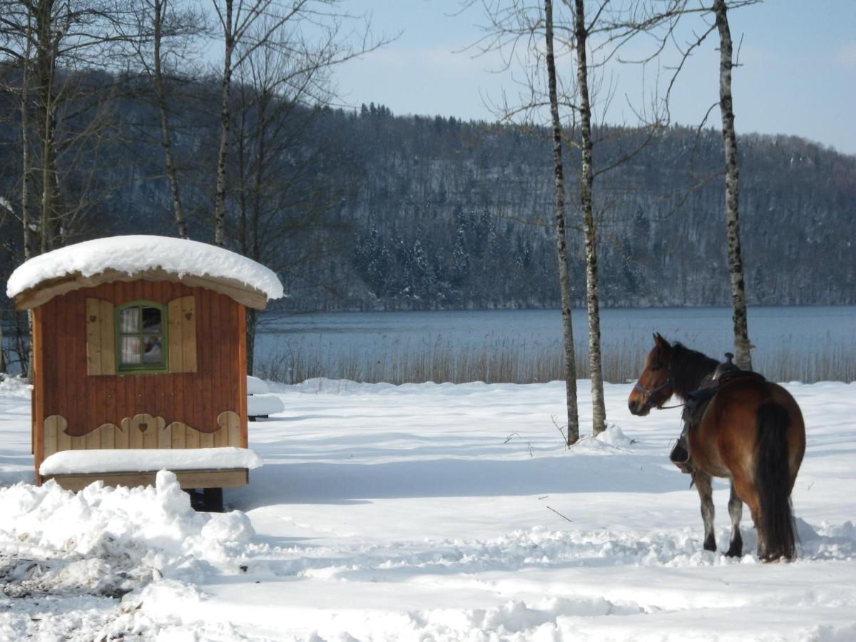 Parc Animalier Du Herisson Villa Doucier Buitenkant foto