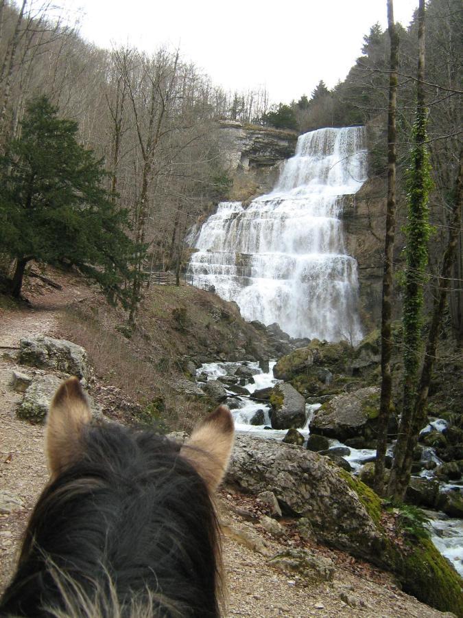 Parc Animalier Du Herisson Villa Doucier Buitenkant foto