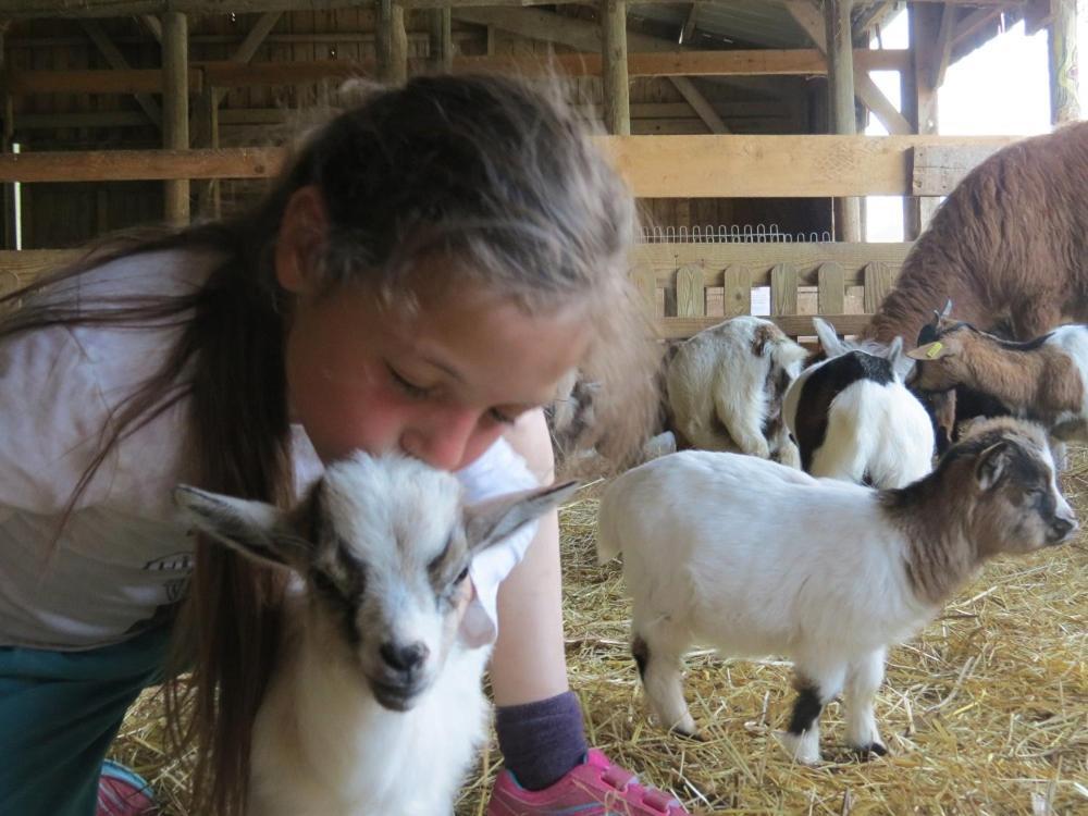 Parc Animalier Du Herisson Villa Doucier Buitenkant foto
